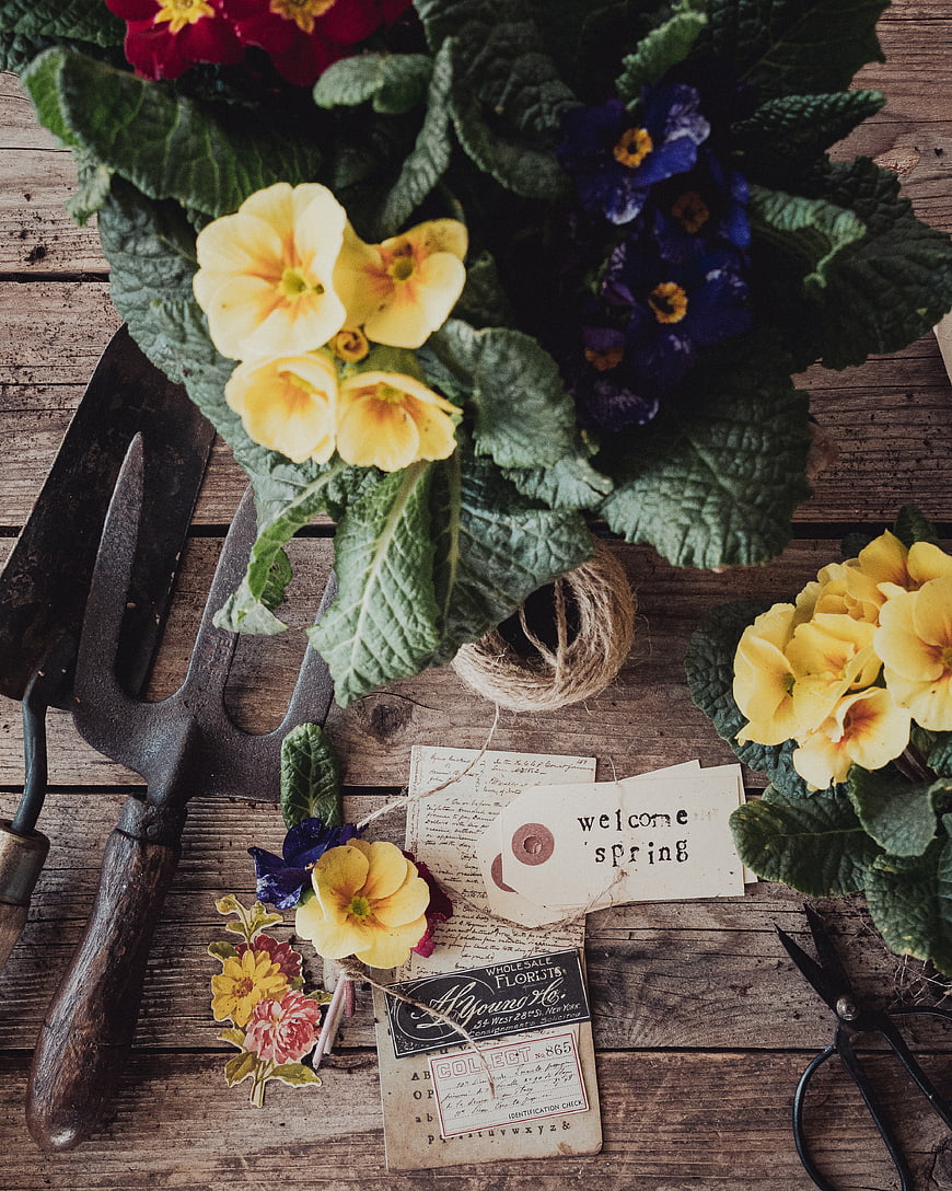 Rustic Spring Floral Flat Lay with Gardening Tools