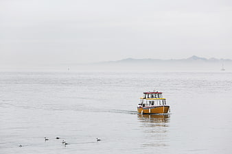 Yellow Water Taxi Boat on Misty Lake with Ducks