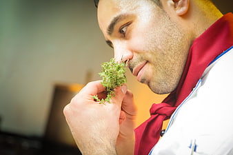 Chef smelling fresh thyme herb in kitchen