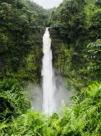 Tall Waterfall Cascading Through Lush Tropical Rainforest Jungle
