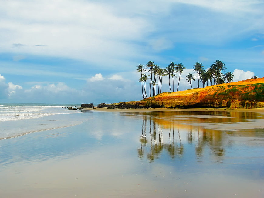 Tropical Beach Landscape With Palm Trees And Ocean Reflections