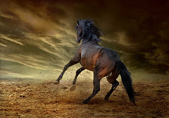 Wild brown horse galloping in desert landscape