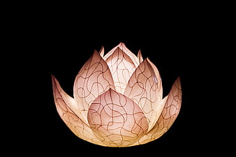 Illuminated Lotus Lantern on Black Background