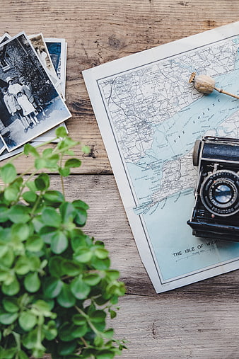 Vintage Camera and Old Map on Wooden Table with Plant