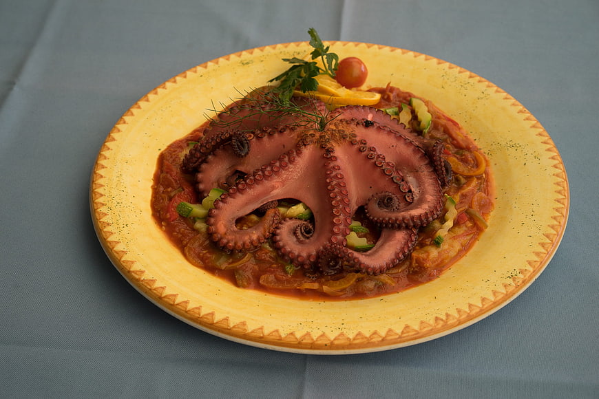 Grilled Octopus Dish with Tomato Sauce and Vegetables