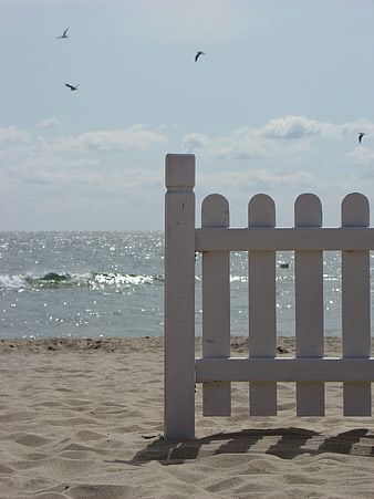 White Picket Fence on Sandy Beach with Ocean and Seagulls