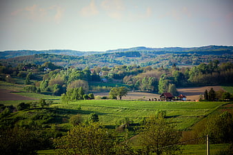 Scenic Green Rolling Hills Landscape with Farmhouses