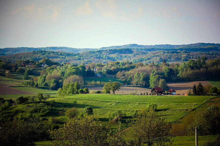 Scenic Green Rolling Hills Landscape with Farmhouses