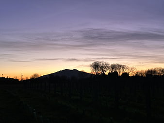 Silhouette of Mountain and Trees Against Purple and Orange Sunset Sky