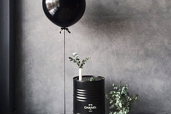 Black Balloon and Chanel Perfume Tin with Eucalyptus