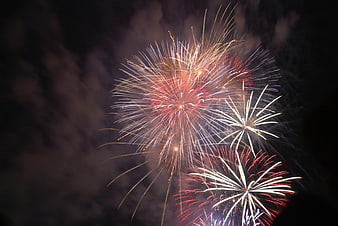 Colorful Fireworks Exploding in Night Sky
