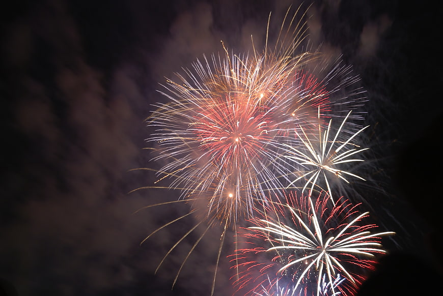 Colorful Fireworks Exploding in Night Sky