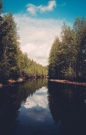 Serene Forest River with Cloud Reflections in Summer