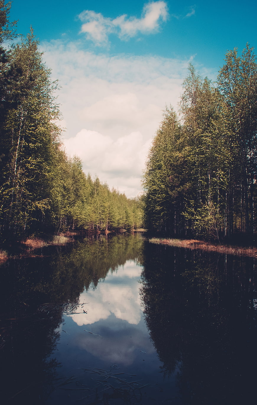 Serene Forest River with Cloud Reflections in Summer