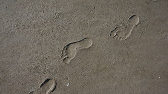 Barefoot footprints in wet sand on a beach