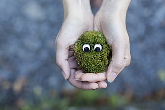 Cute moss ball with googly eyes held in cupped hands