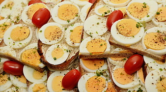 Boiled egg and tomato sandwiches on rustic bread