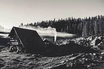 Black and white rustic cabin with smoke in mountain forest