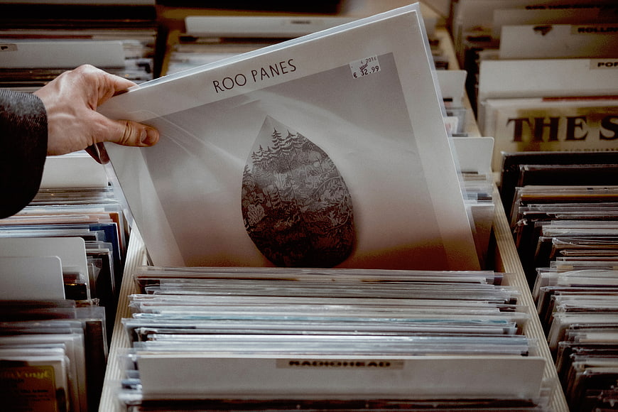 Hand holding Roo Panes vinyl record in record store bin