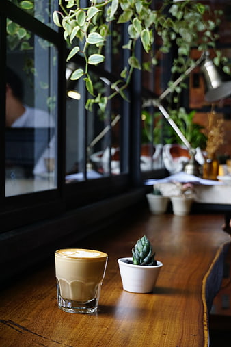 Latte and small succulent on wooden table in cafe