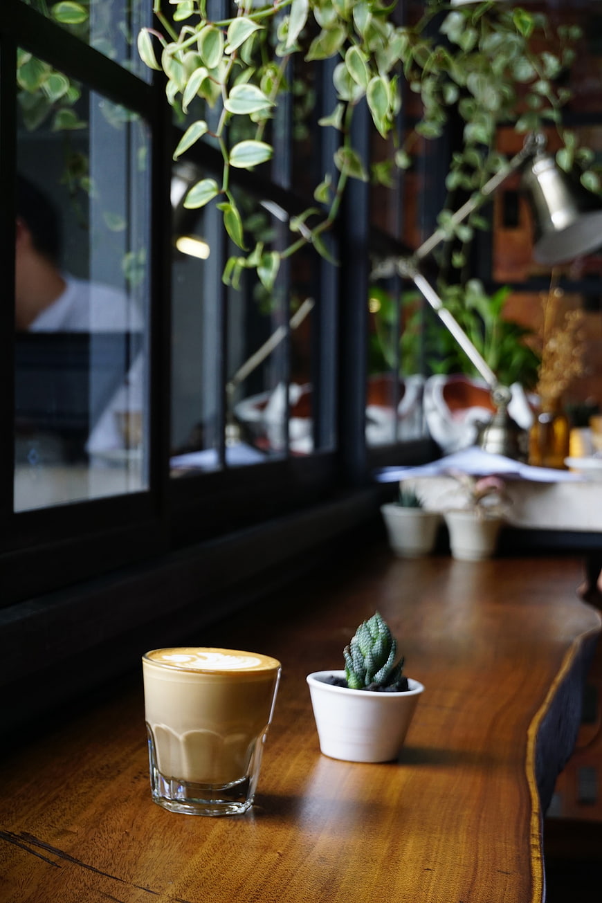 Latte and small succulent on wooden table in cafe