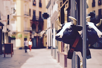 Decorative Cow Head Sculpture on European Street