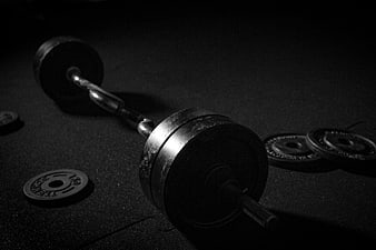 Black and white dumbbell with weight plates on gym floor