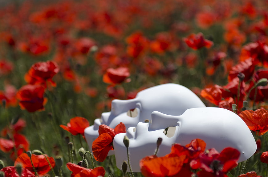 White Comedy and Tragedy Masks in Red Poppy Field