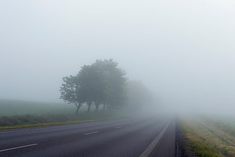 Foggy Country Road with Trees and Misty Atmosphere