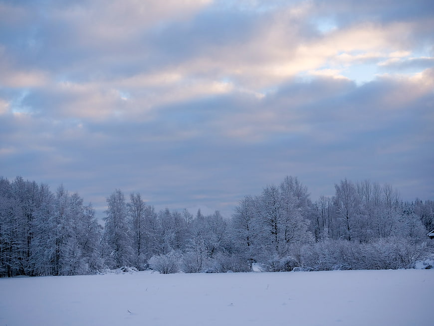 Serene Winter Landscape with Snowy Forest and Cloudy Sky