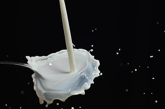 Pouring Milk Splash on Spoon Black Background