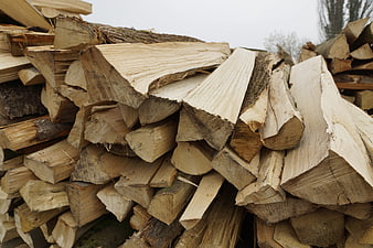 Stack of chopped firewood logs in outdoor pile