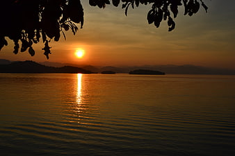 Golden sunset over calm lake with silhouetted leaves and distant mountains