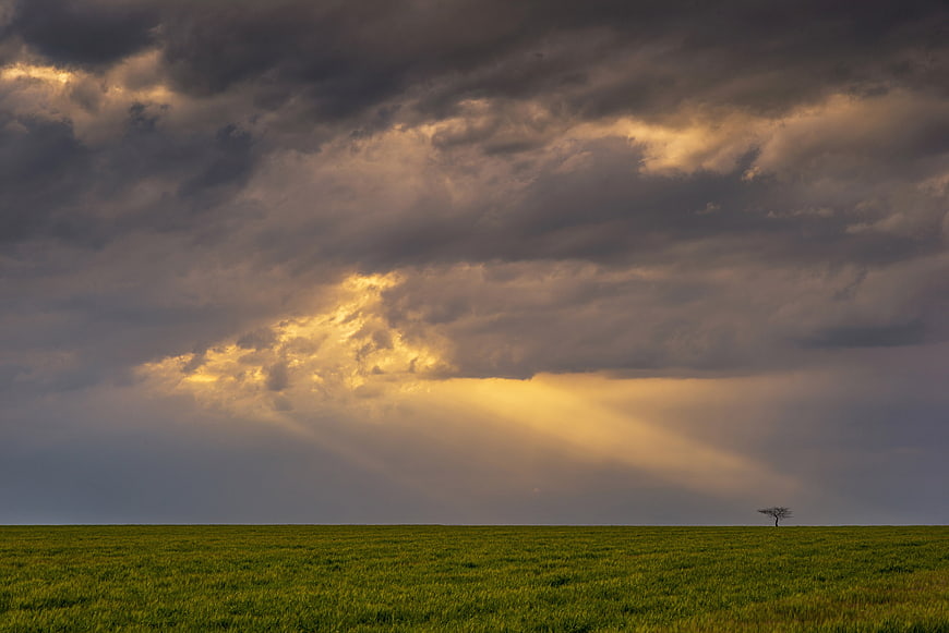Dramatic Storm Clouds With Sunbeams Over Green Field