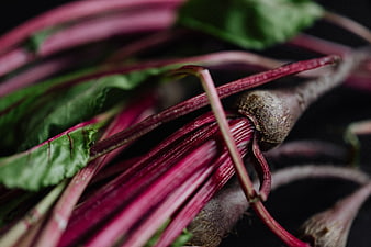 Close-up of fresh beetroot with vibrant red stems and green leaves