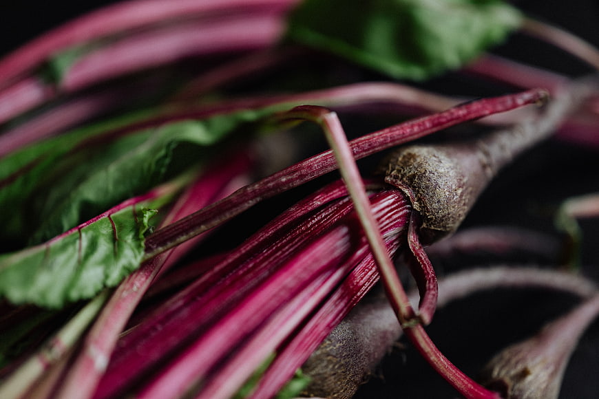 Close-up of fresh beetroot with vibrant red stems and green leaves