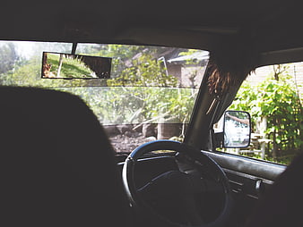 View from inside a car looking out at a lush green garden