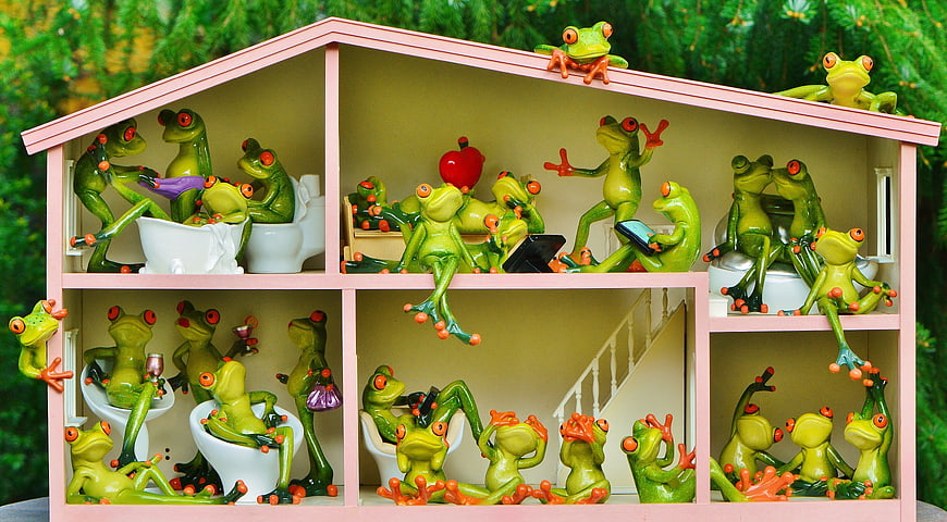 Cute Green Frogs Living in a Pink Dollhouse