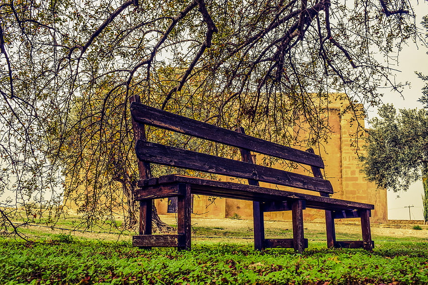 Rustic Wooden Bench Under Tree in Autumn Park