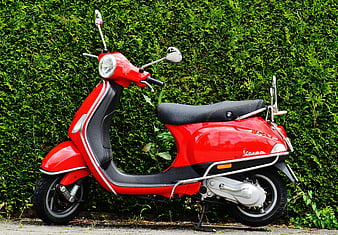 Red Vespa Scooter Parked Against Green Hedge