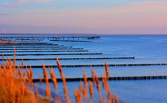 Serene Baltic Sea Sunset with Wooden Groynes and Blurred Foreground Grass