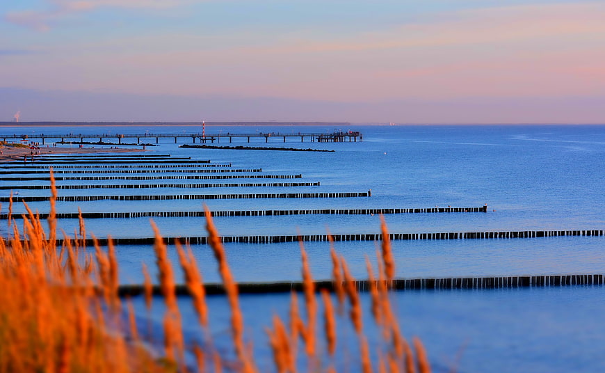 Serene Baltic Sea Sunset with Wooden Groynes and Blurred Foreground Grass