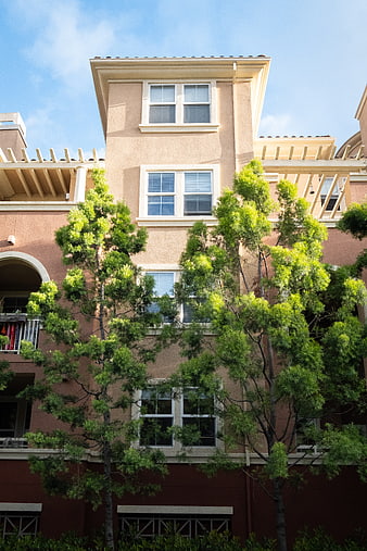 Multi-story apartment building exterior with green trees