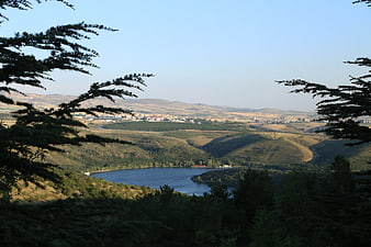 Scenic Lake View Framed by Pine Branches