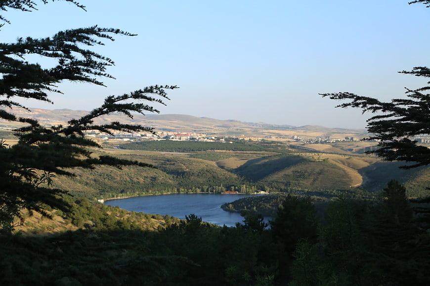 Scenic Lake View Framed by Pine Branches