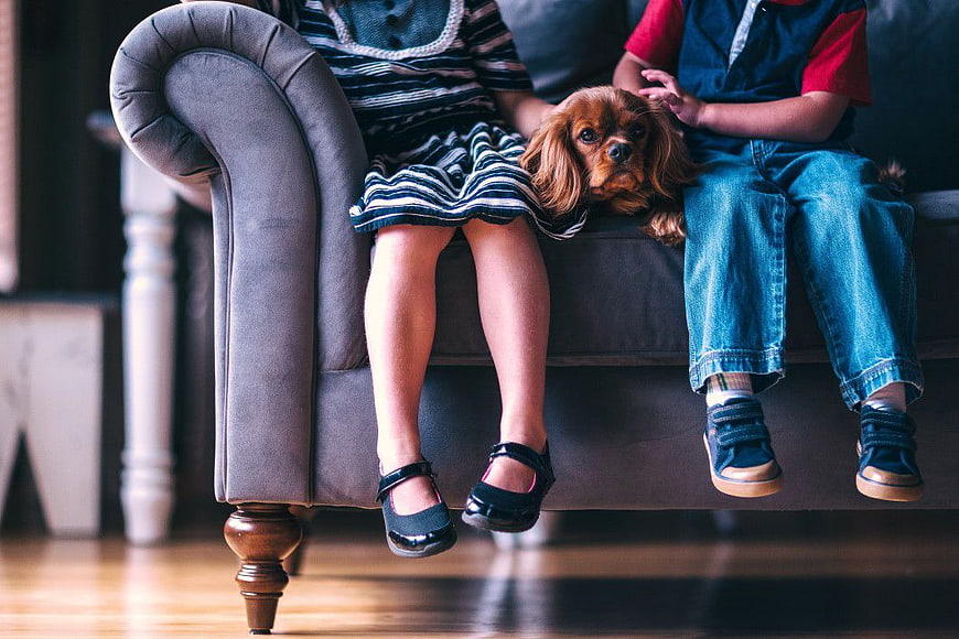 Two Children Sitting on Sofa with Cavalier King Charles Spaniel