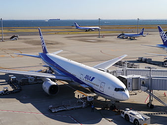 ANA airplane at Haneda Airport terminal gate
