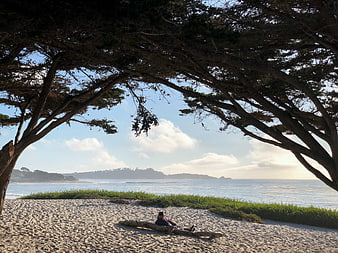 Man Relaxing on Beach Under Large Tree Canopy