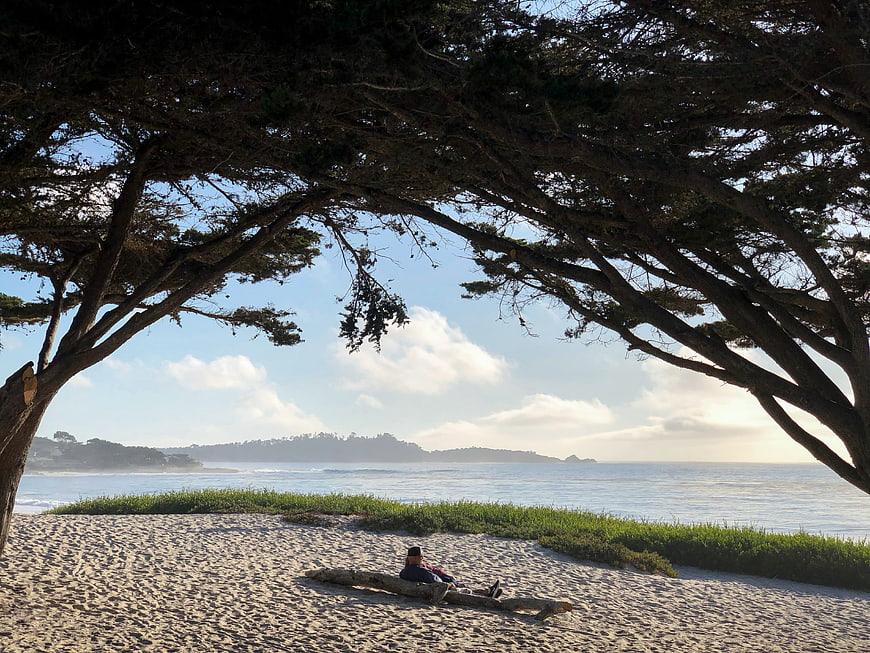 Man Relaxing on Beach Under Large Tree Canopy