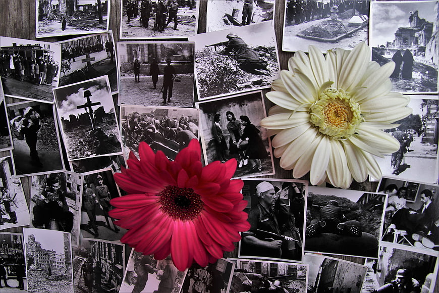 Warsaw Uprising Historical Photos With Red And White Gerbera Flowers